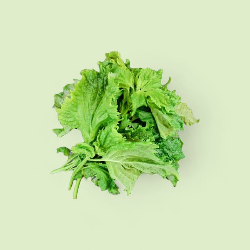 CHAMPERCHE Feuilles de Shiso Vert - 100% Local