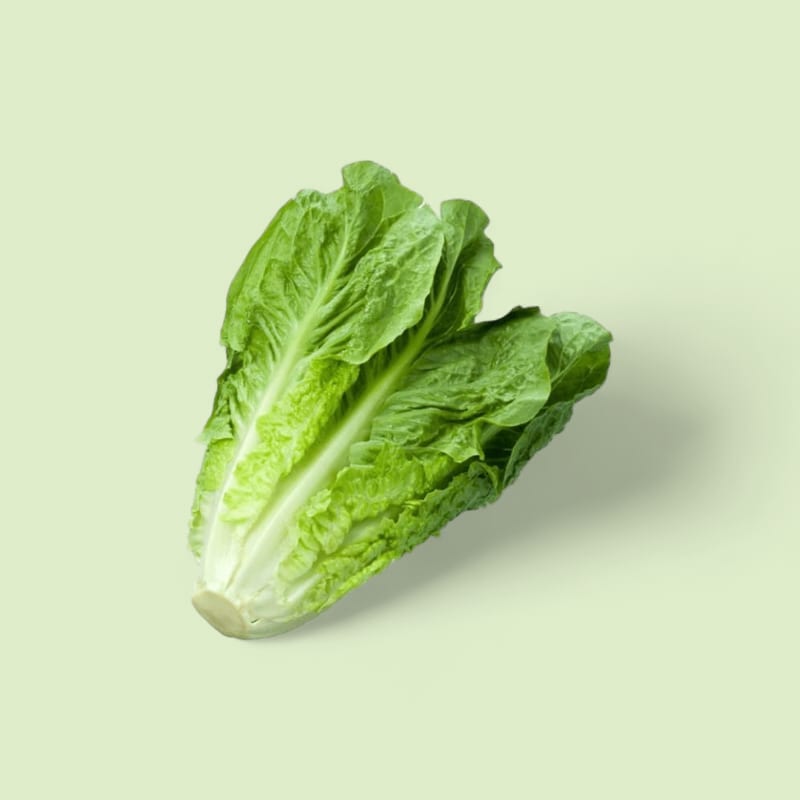 Romaine X2