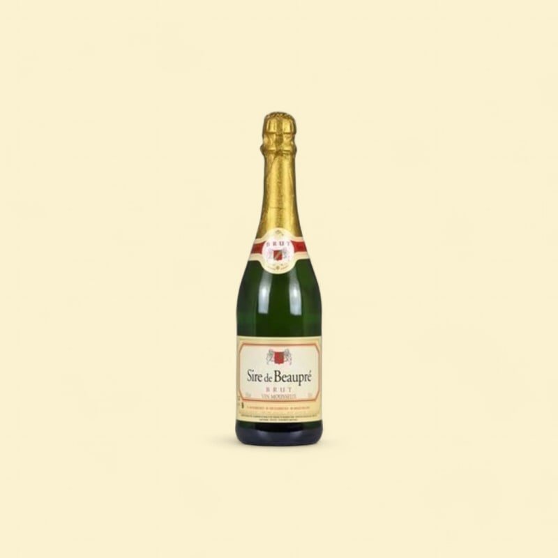 Vin mousseux brut 10,5° 75cl X6