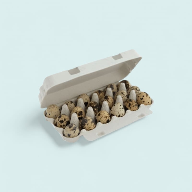 Œufs de Caille X 18 Pc