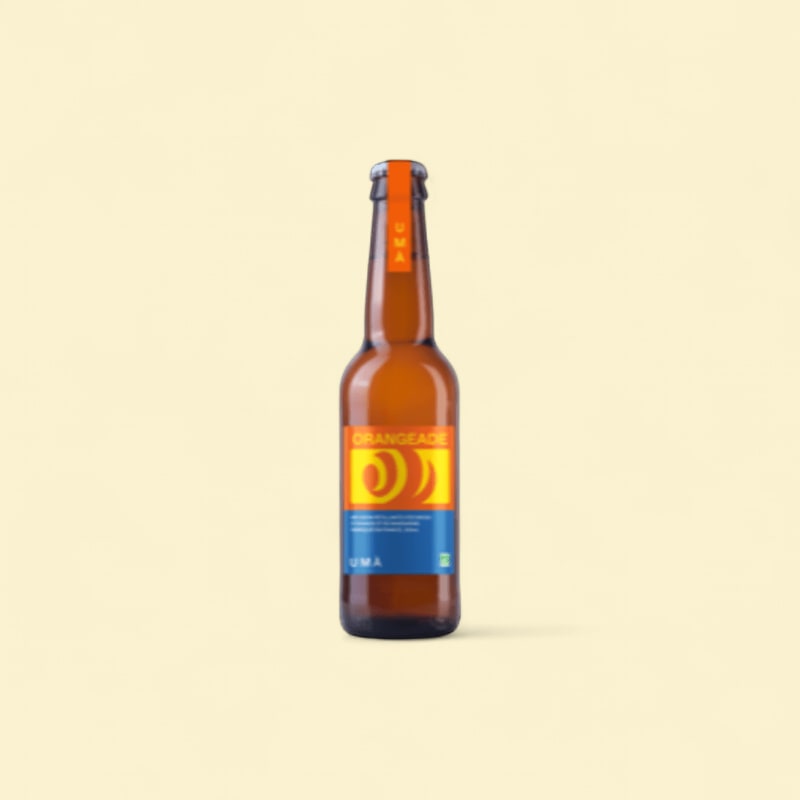 Orangeade bio 12x33cl 