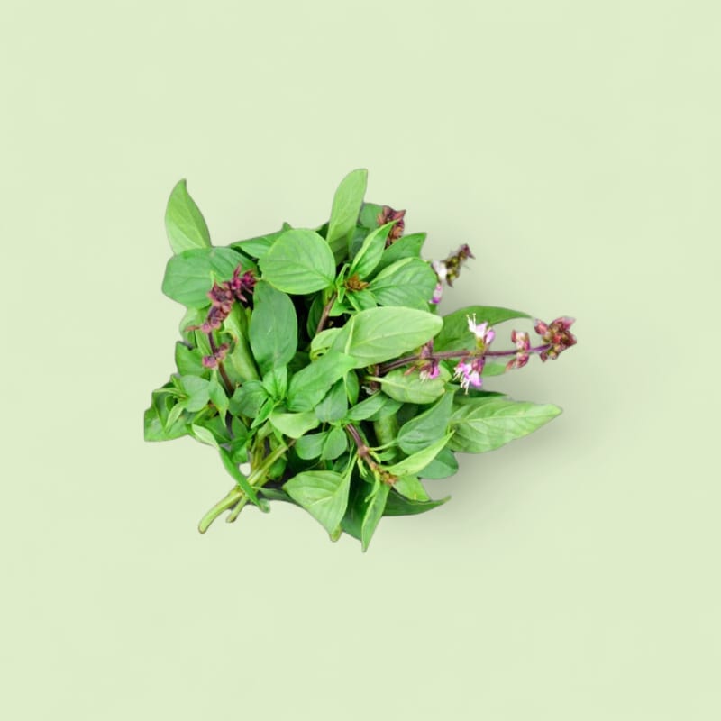 CHAMPERCHE Basilic Thaï - 100% Local