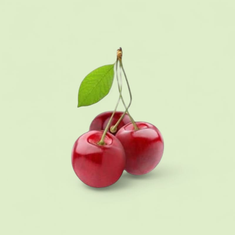 Cerise cal.26/28