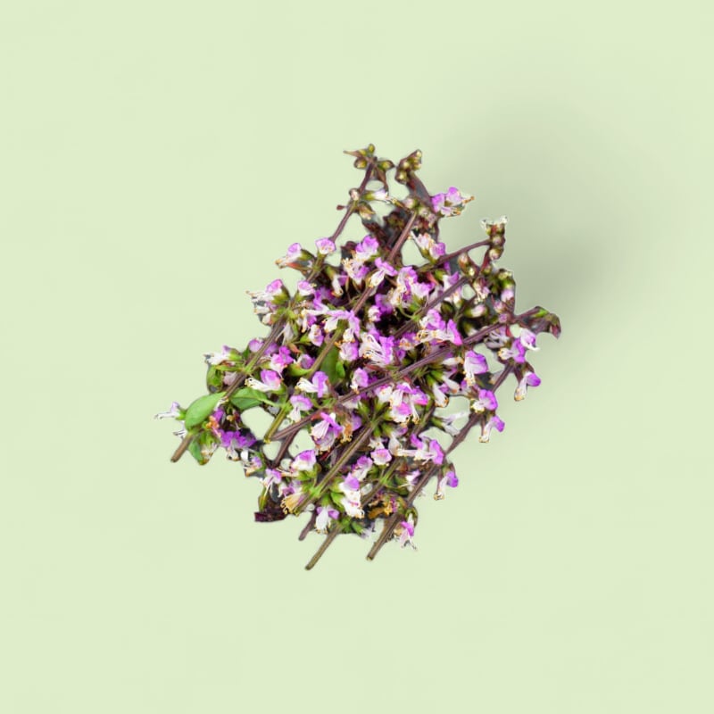 CHAMPERCHE Fleurs de Basilic - 100% Local