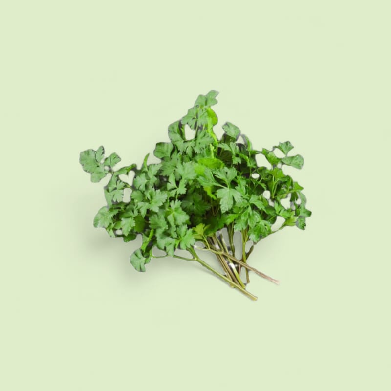 CHAMPERCHE Persil Plat - 100% Local