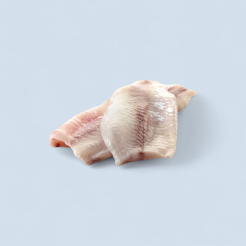 Sébaste Fillet skinless boneless BULK 5kg