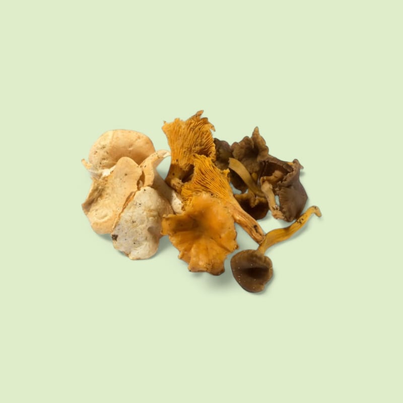 Mélange forestier bq 250g