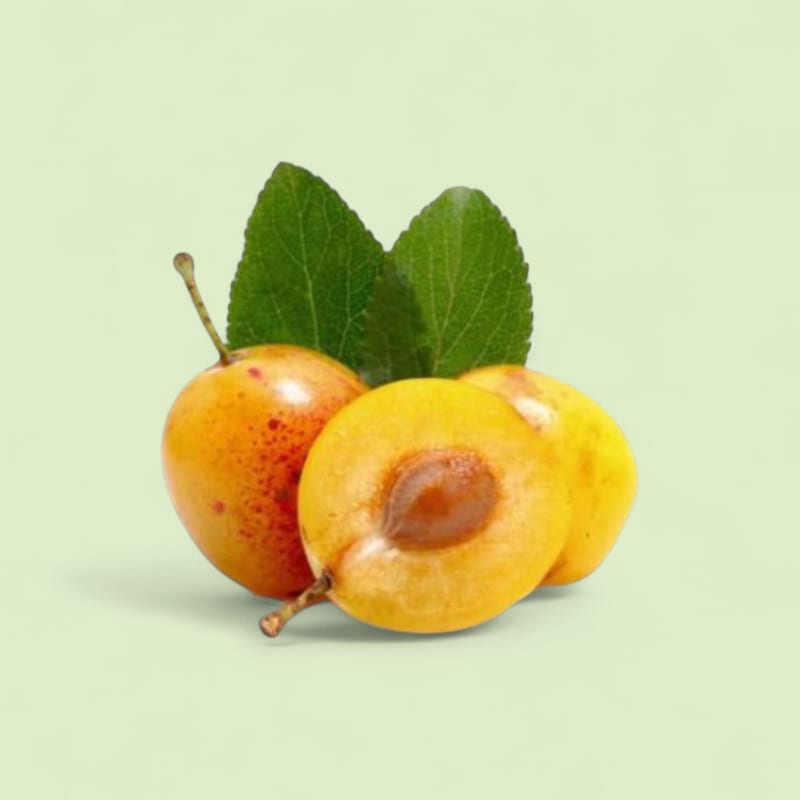 Prune Mirabelle