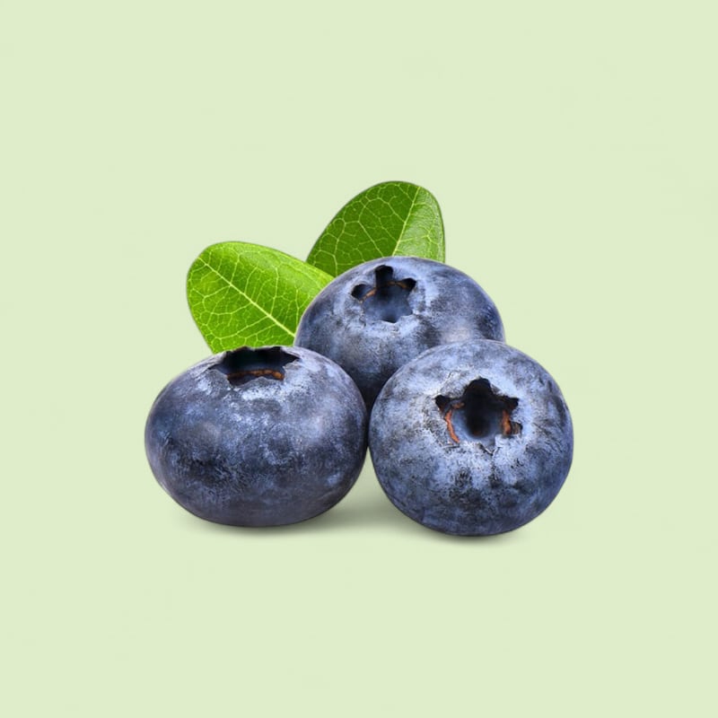 Myrtille barquette 125Gr