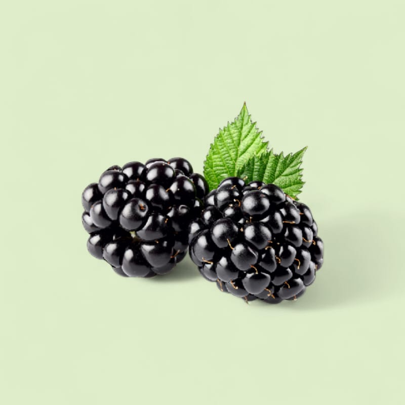 Mûre Barquette 125Gr