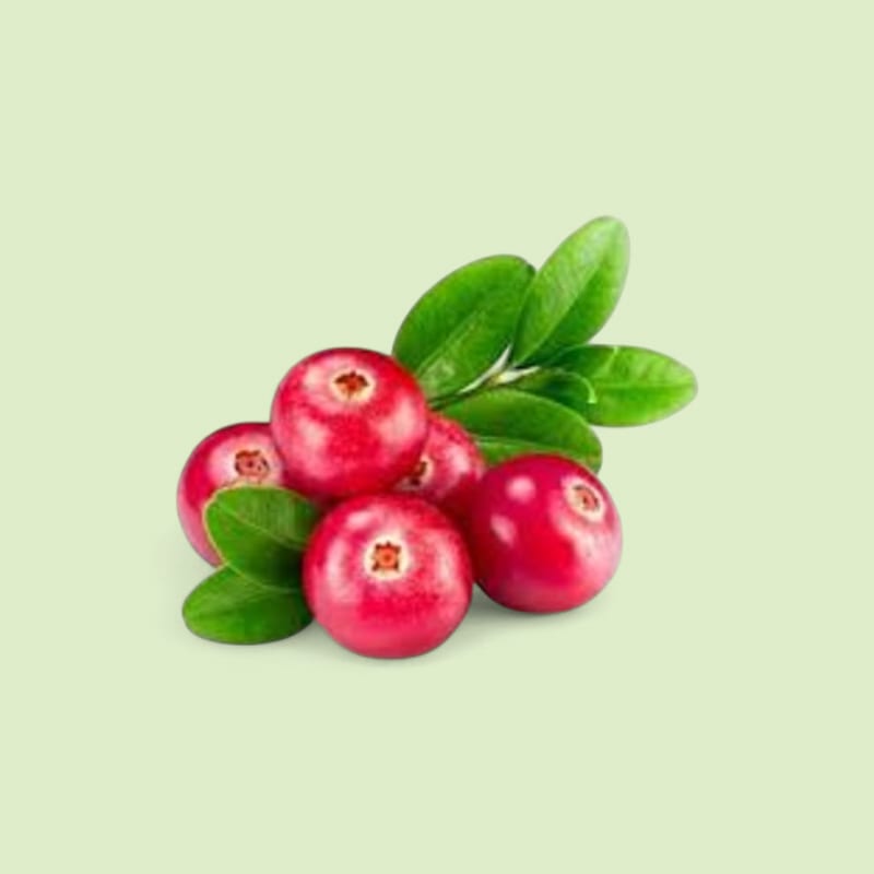 Canneberge barquette 200g