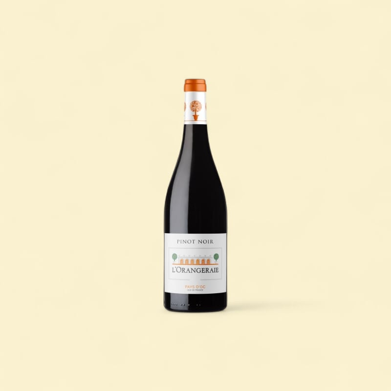 L'Orangeraie Pinot Noir 2024 IGP Pays d'Oc rouge 