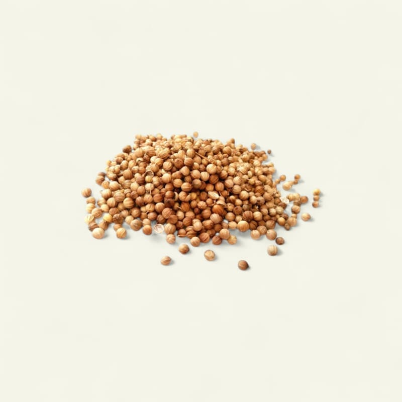 Coriandre grains sac 1kg