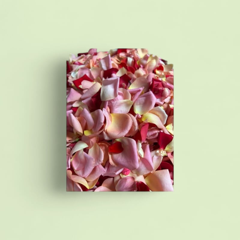 CHAMPERCHE - Pétales de roses comestibles 