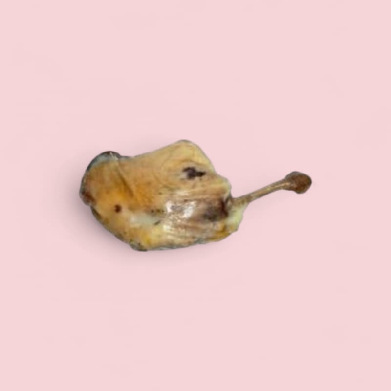 Cuisse maigre de canard français confite ~250g S/V X6