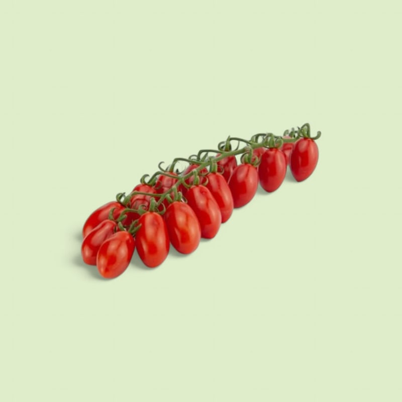Tomate Datterino Grappe