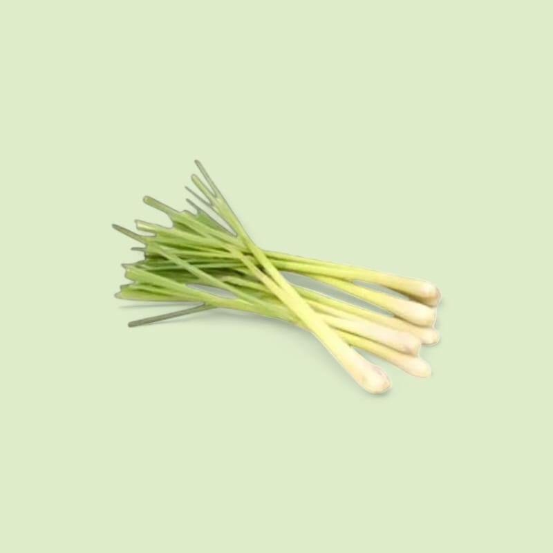 Citronnelle bâton sachet 100g