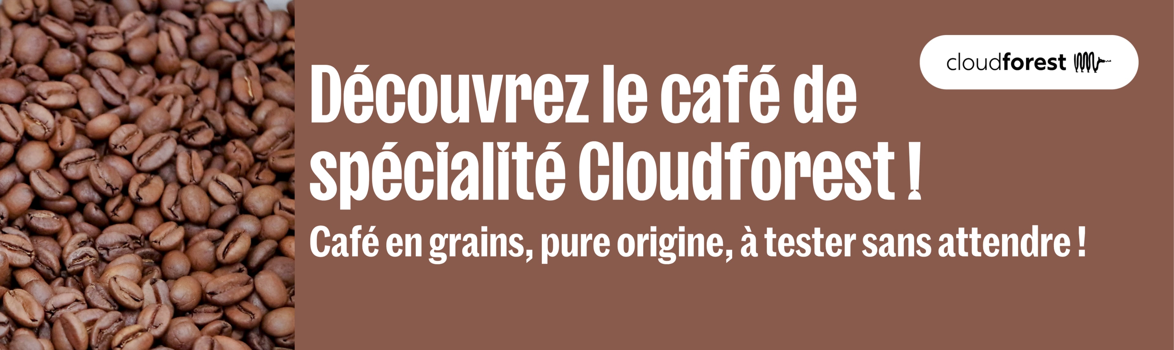 Cloudforest TM
