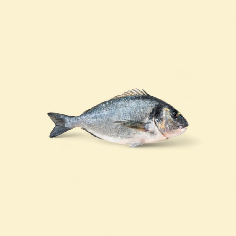 Dorade royale d'élevage X5 ~2kg S/AT