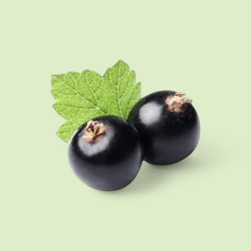 Cassis barquette 125g