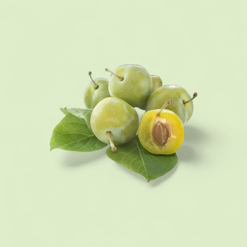 Prune Reine-Claude