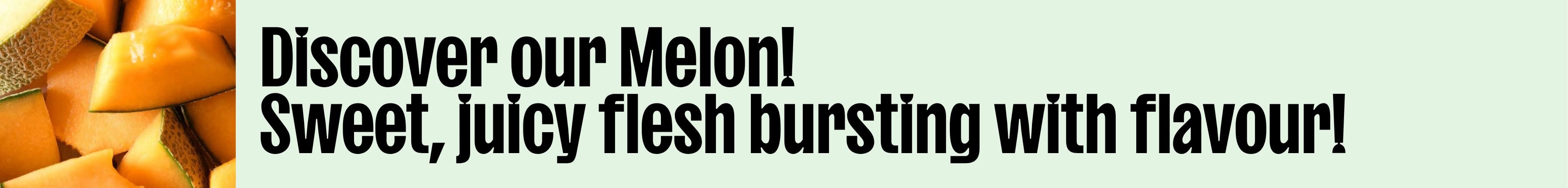 Melon