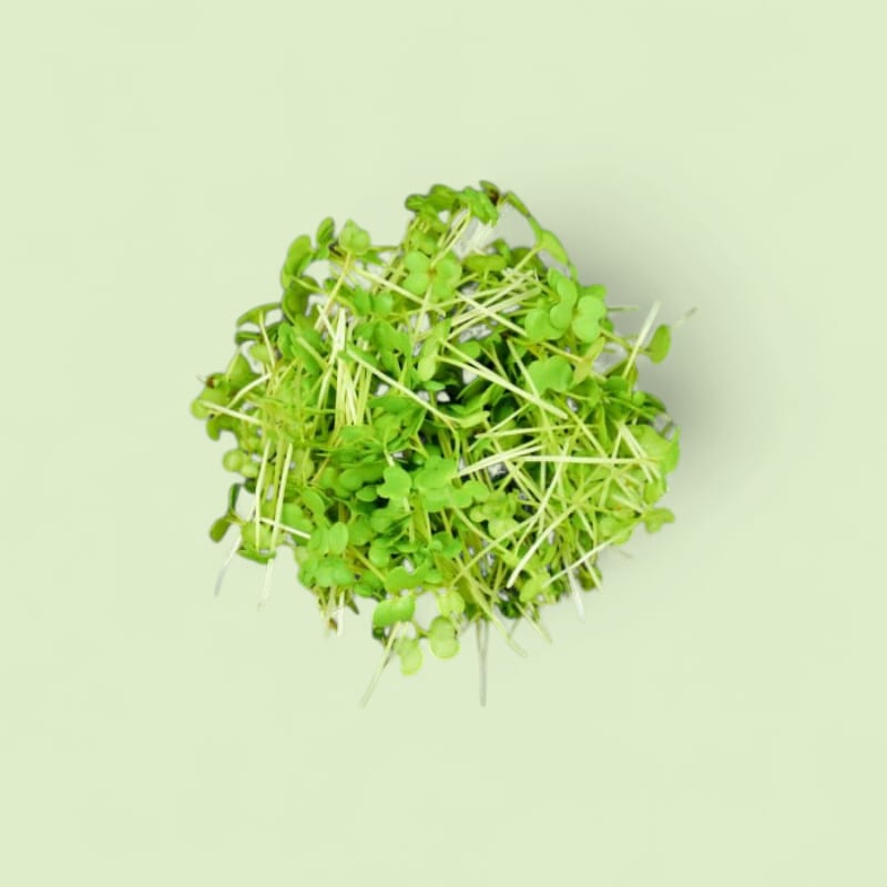 CHAMPERCHE - Wasabi micropousses - Barquette 50g