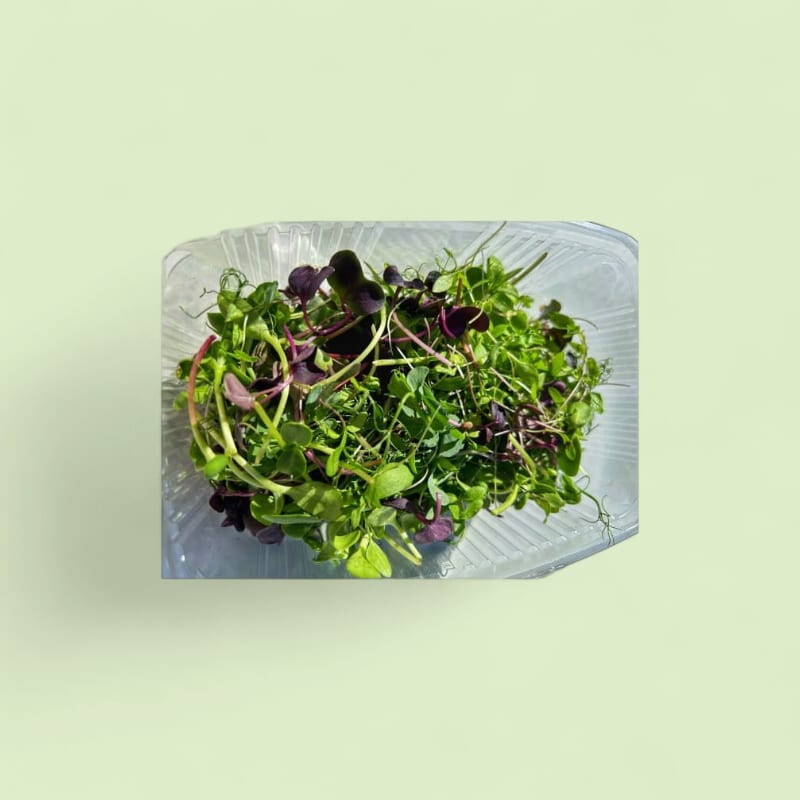 CHAMPERCHE - Autumn Mix micropousses - Barquette 50g