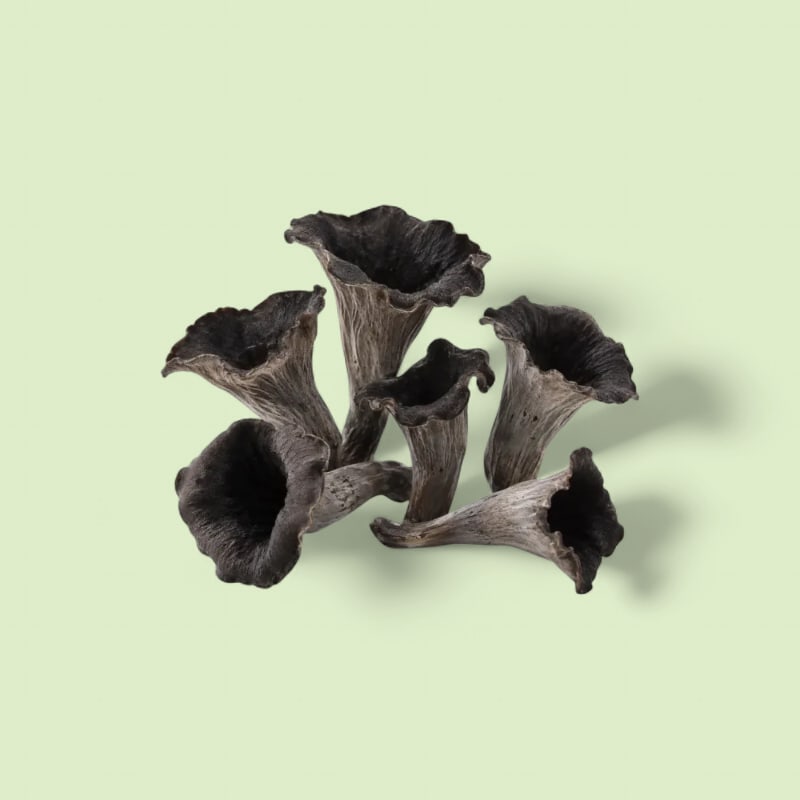 Trompette de la mort bqt 200g