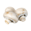 Champignon