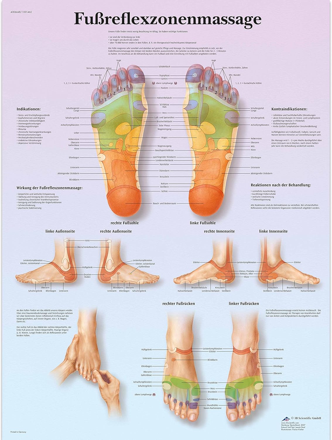 Scientific La Reflexologie