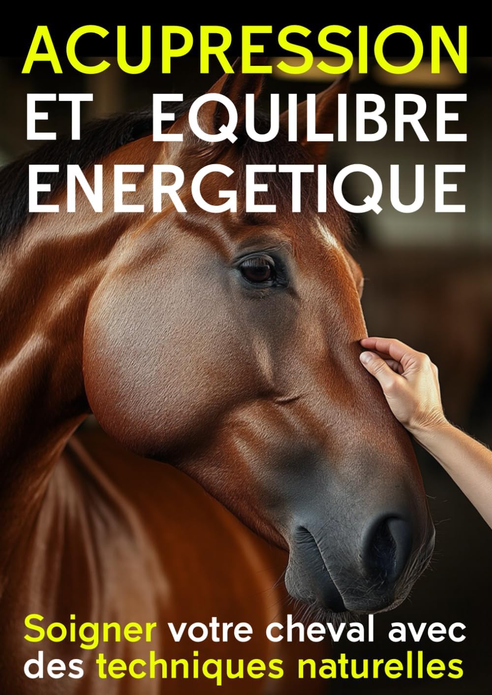 Vue 5 de Reflexologie Et Acupression Le