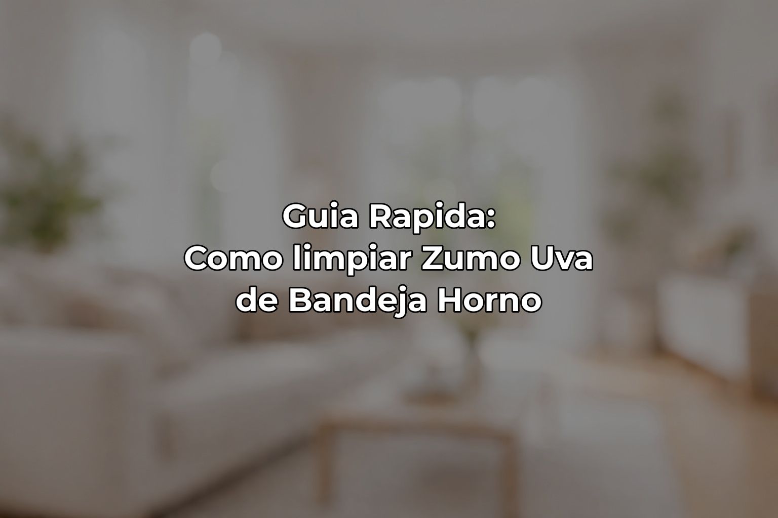 Guia Rapida: Como limpiar Zumo Uva de Bandeja Horno