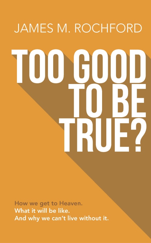 Too Good to Be True: How We Get To Heaven, What It Will Be Like, and Why We Can't Live Without It book cover