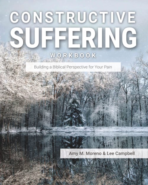 Constructive Suffering: Building a Biblical Perspective for Your Pain book cover