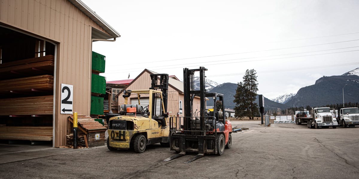 Vision failed, fallback from directory: Stevensville