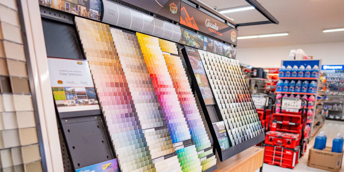 Paint color selection display showing multiple fan decks with hundreds of color swatches arranged in organized panels