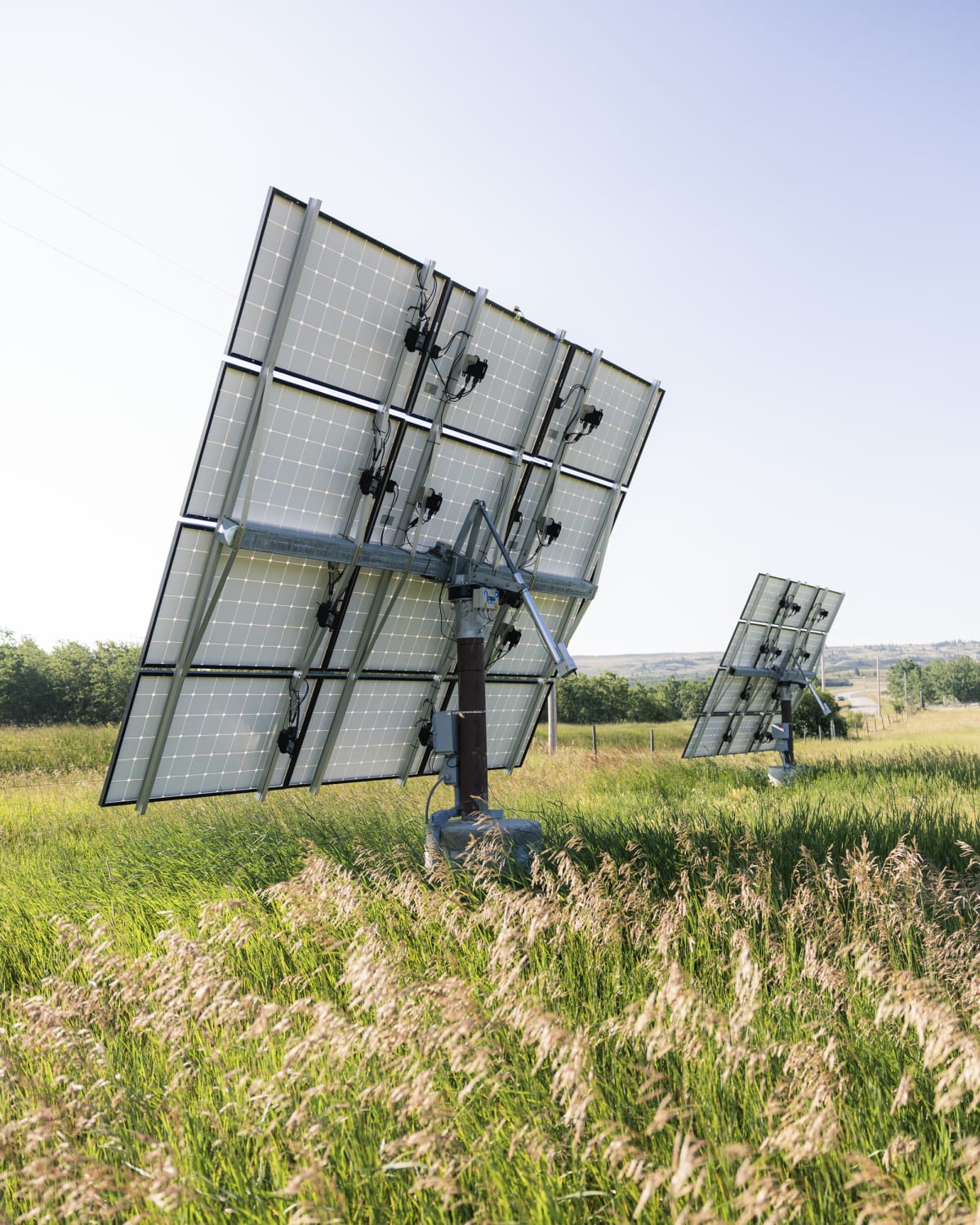 Back of two pole-mounted solar arrays in tall Montana grass