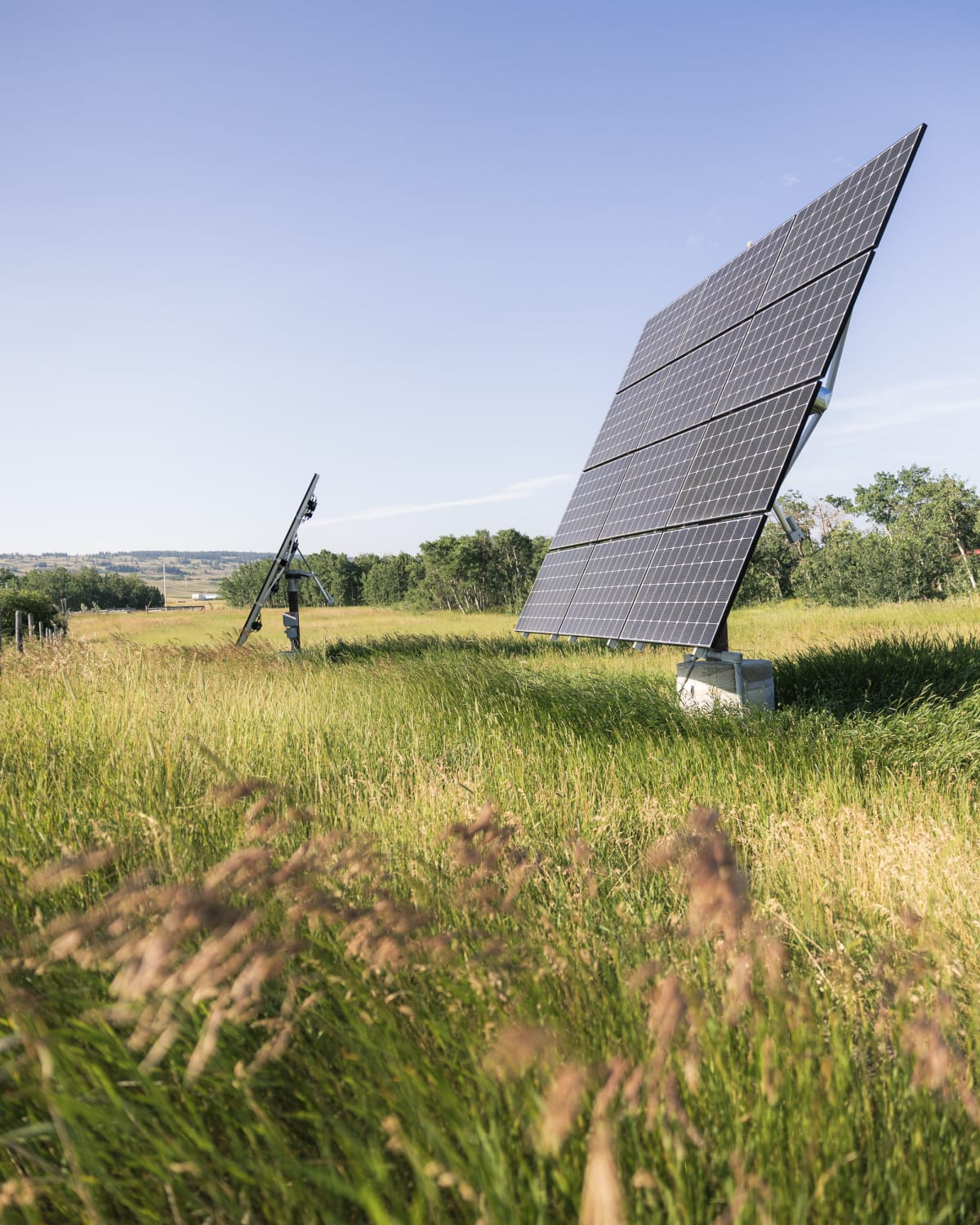 Pole-mounted solar arrays tilted toward the morning sun in a green Montana meadow