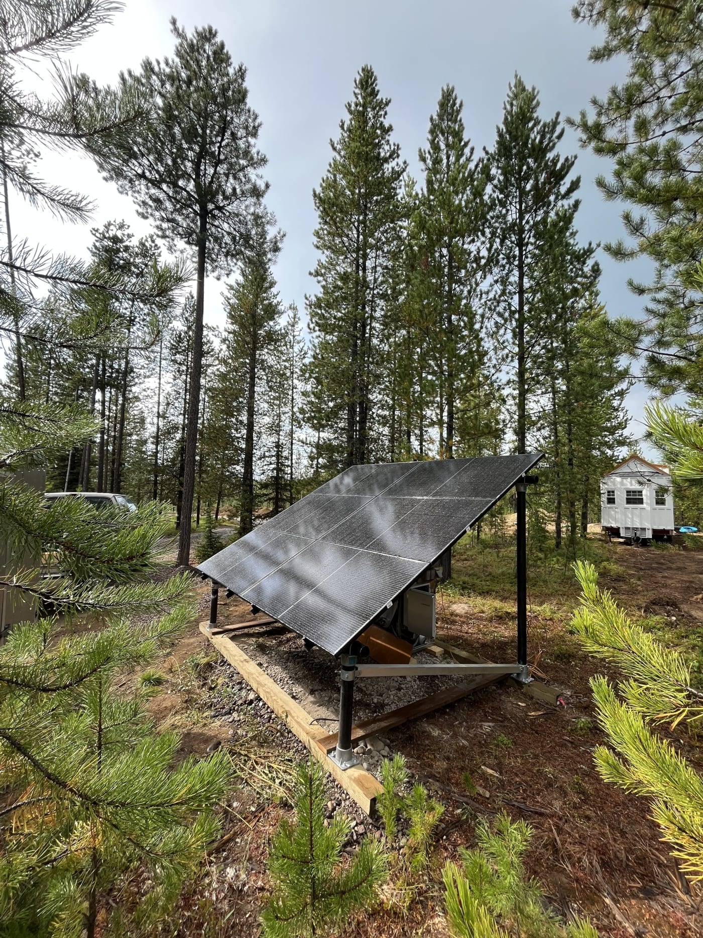 Ground-mounted solar array in a pine clearing beside a small Montana cabin