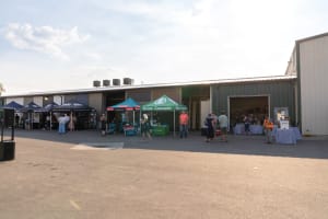 Messmer's UV+ Natural Cedar: High-Solids Protection Without the Wax