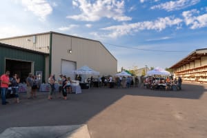 Landscapers Select Impulse Sprinklers: Metal Construction That Survives Montana