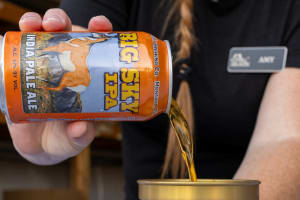 Versetta Stone Tight-Cut Flat Panel: Mortarless Stone Veneer That Actually Works