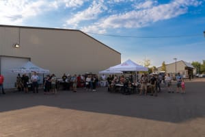 Miracle-Gro LiquaFeed: The No-Mix Fertilizer System That Actually Delivers