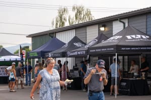 Westlake Royal Building Products Versetta Stone Flat Panels