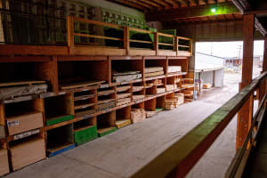 Toro 4″ Pop-Up Spray Head 15' 360°