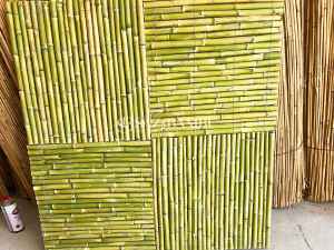 Saz Bambu