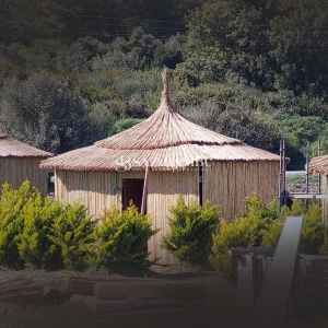 Saz Çatı Kaplama