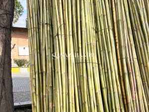 Bambu Kaplama