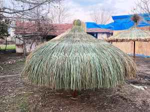 Saz Bambu
